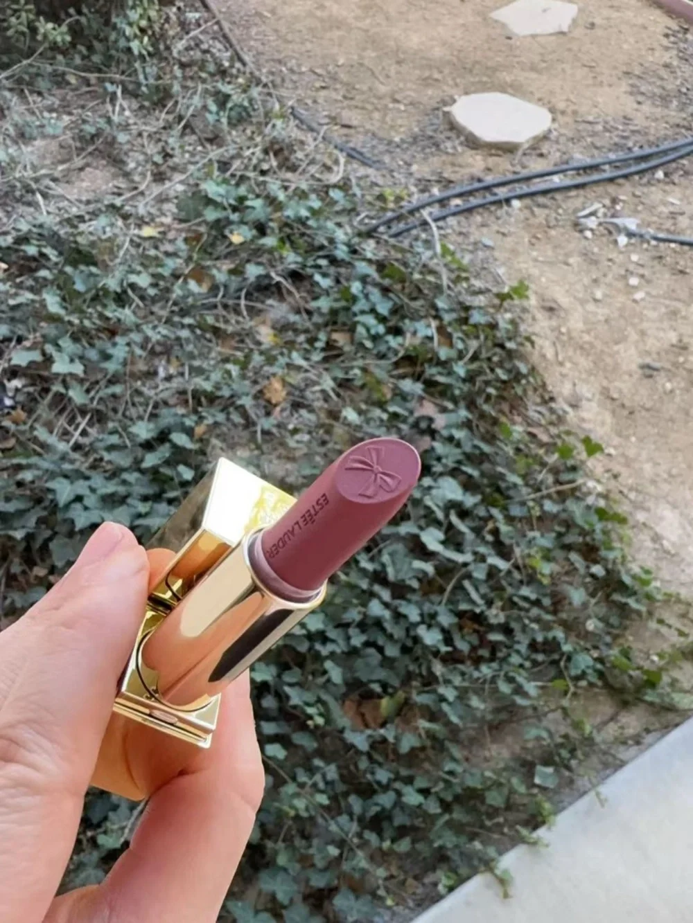 Estee Lauder estée lauder